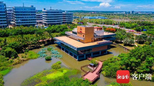 跨国企业海南行系列活动在海口启动 聚焦科技创新合作